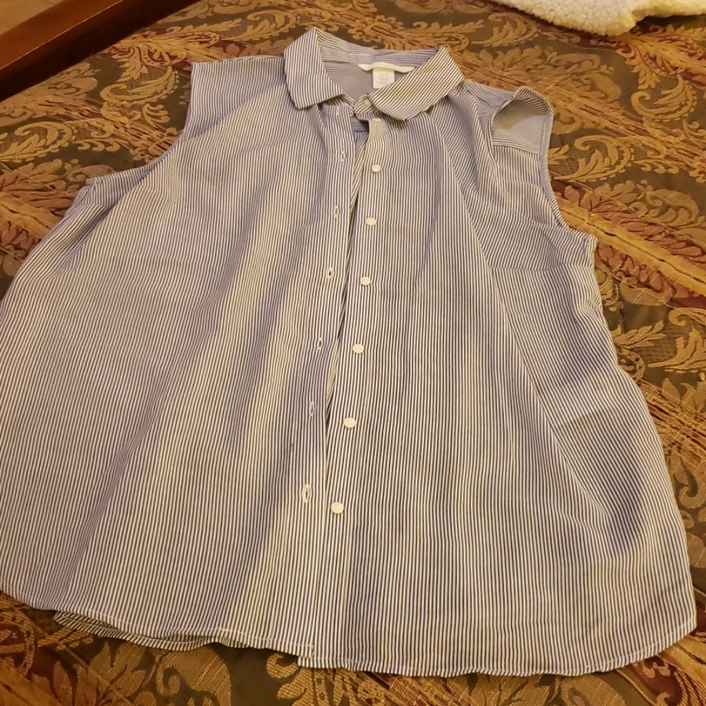 Sleeveless Sheer Button down Blouse